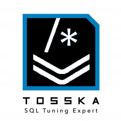 Tosska SQL Tuning Expert Pro (TSEG Pro™) for openGauss® 1.6.0