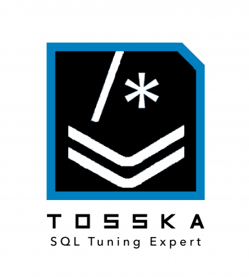 Tosska SQL Tuning Expert Pro (TSEG Pro™) for openGauss® 1.6.0